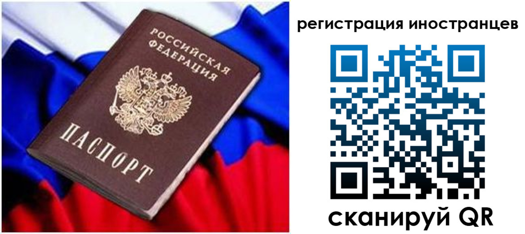 прописка для школы в Химках